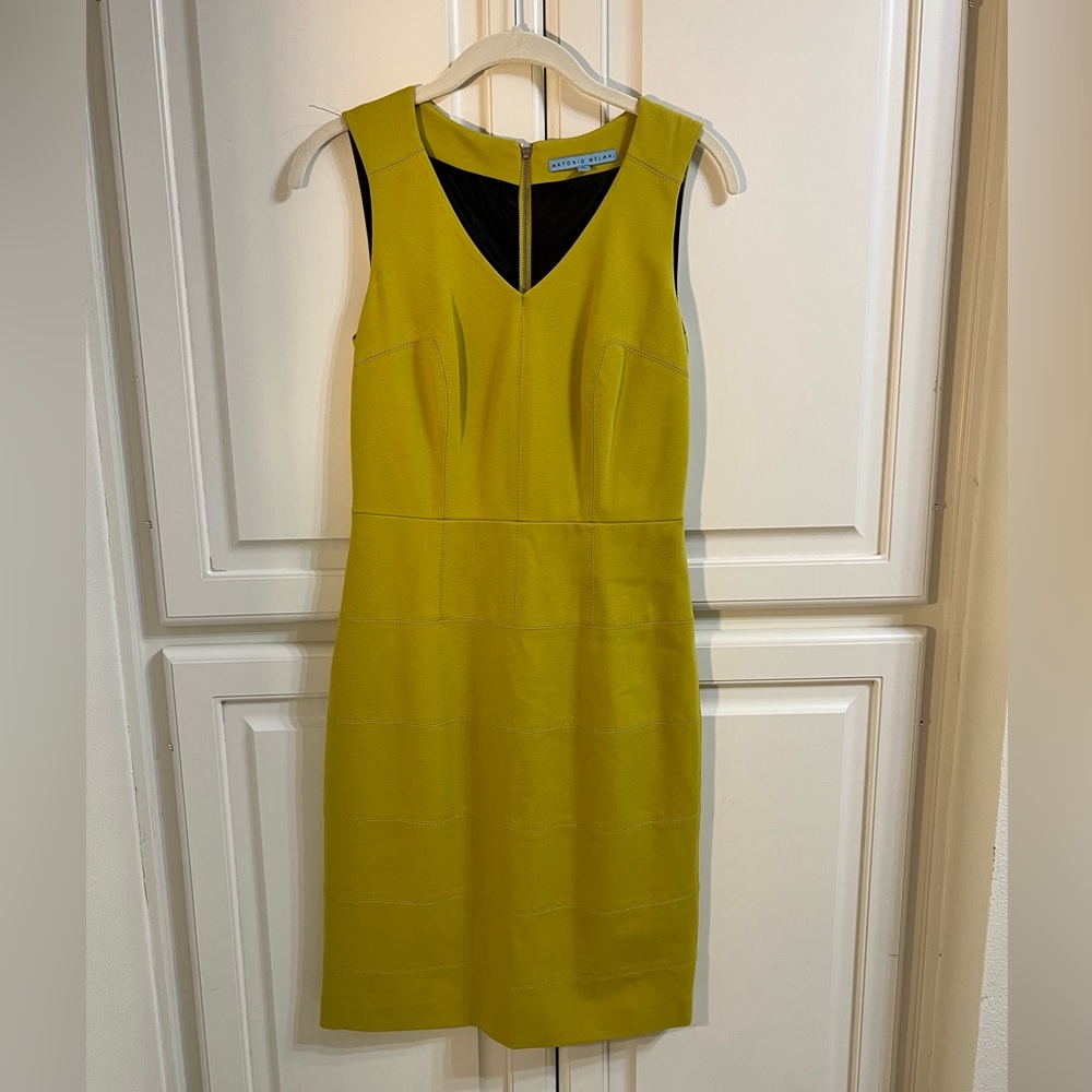 Antonio Melani Green Dress